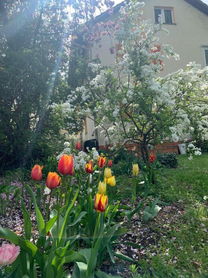 Apartament Blumenblick Rielasingen-Worblingen Eksteriør bilde