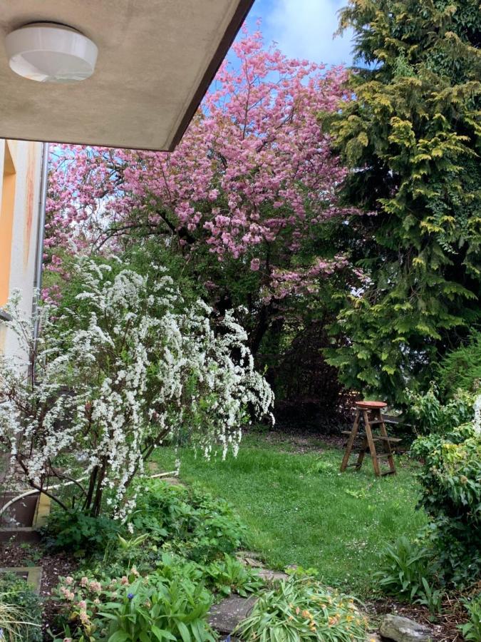 Apartament Blumenblick Rielasingen-Worblingen Eksteriør bilde