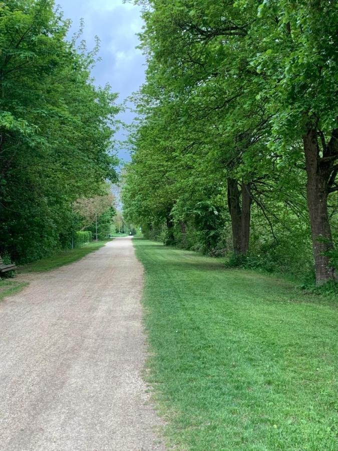 Apartament Blumenblick Rielasingen-Worblingen Eksteriør bilde